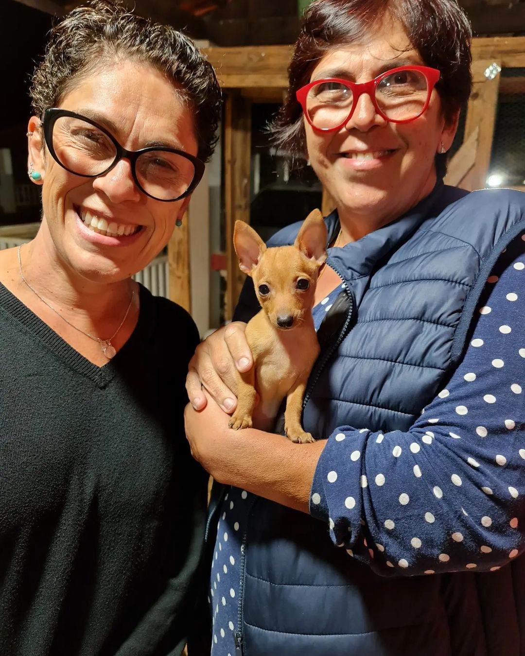 346252930_3617101978524104_1905189926705043027_n