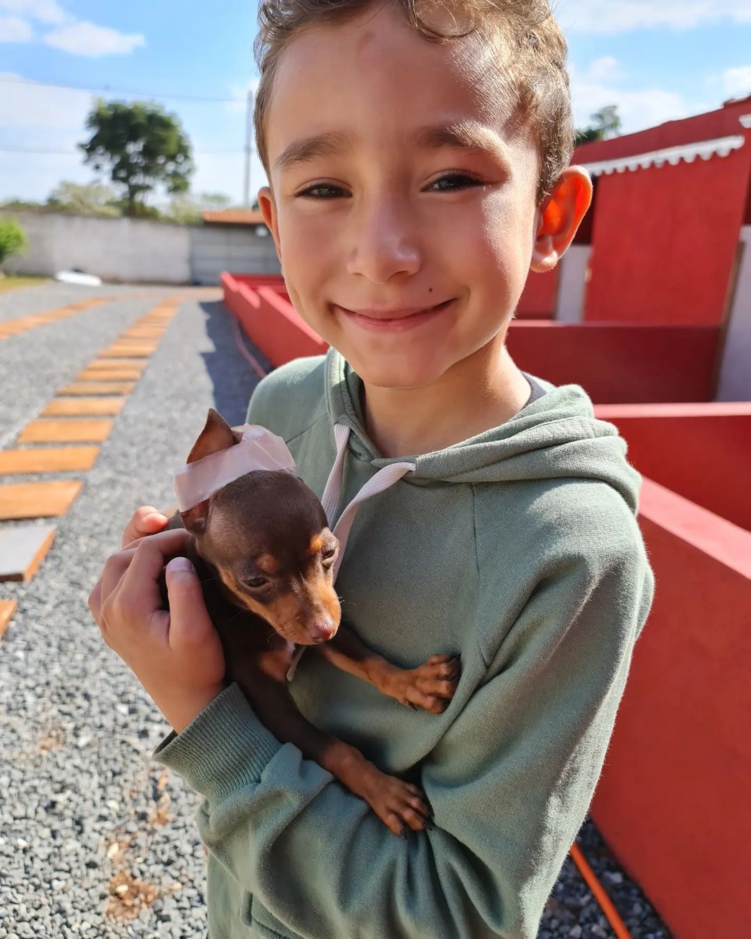 352503001_563833632489068_6785646502785282198_n