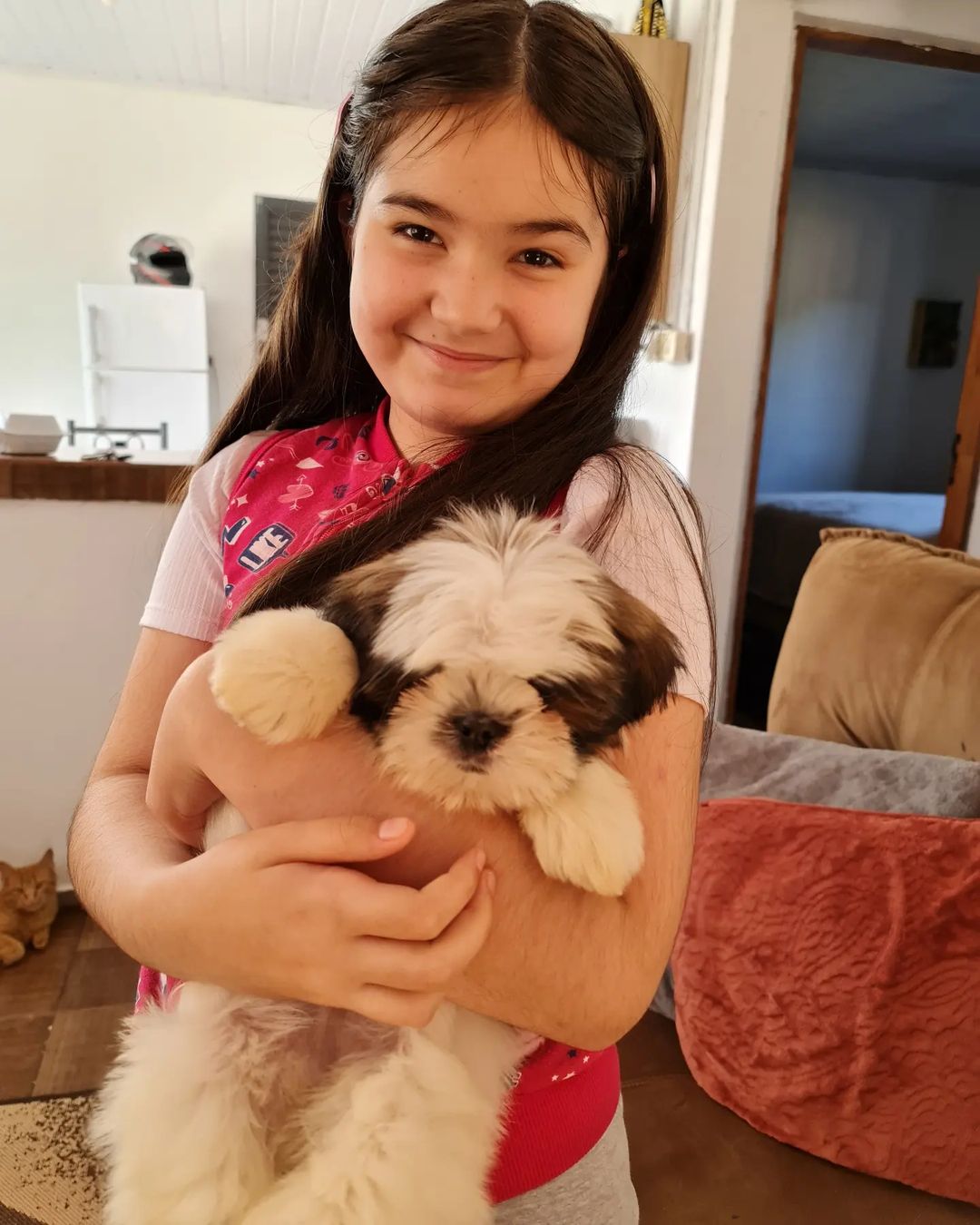 353592981_206778258496984_4317216009418891543_n